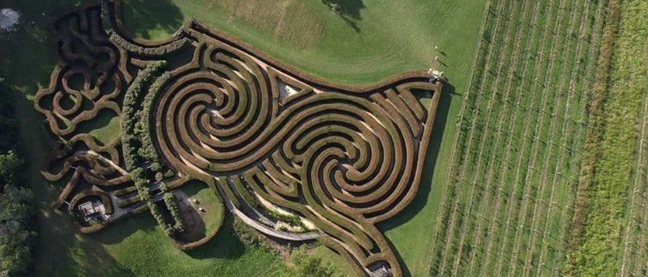 Birds eye view of circular maze in a vinyard 